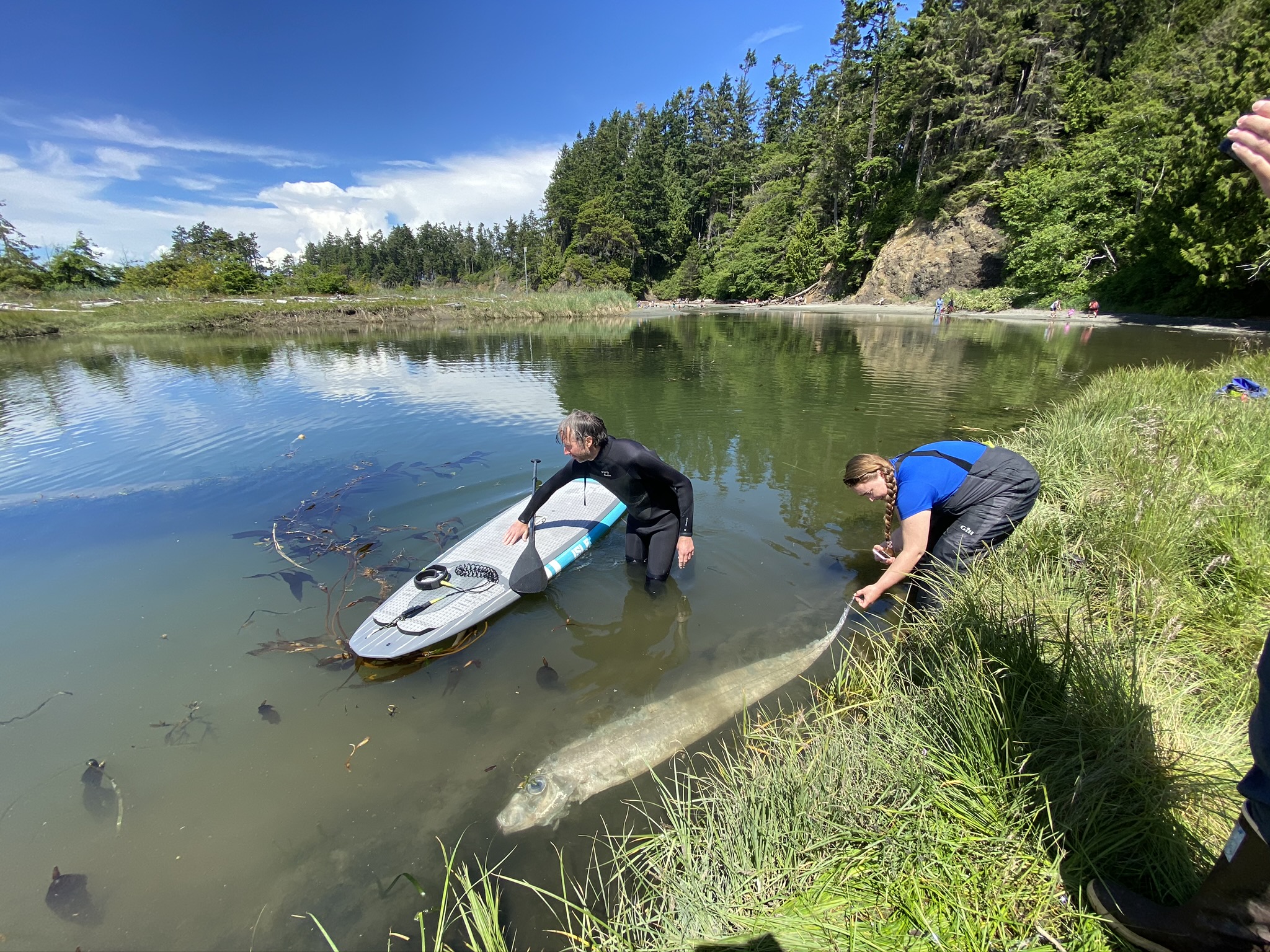 Read more about the article Stewardship Tips