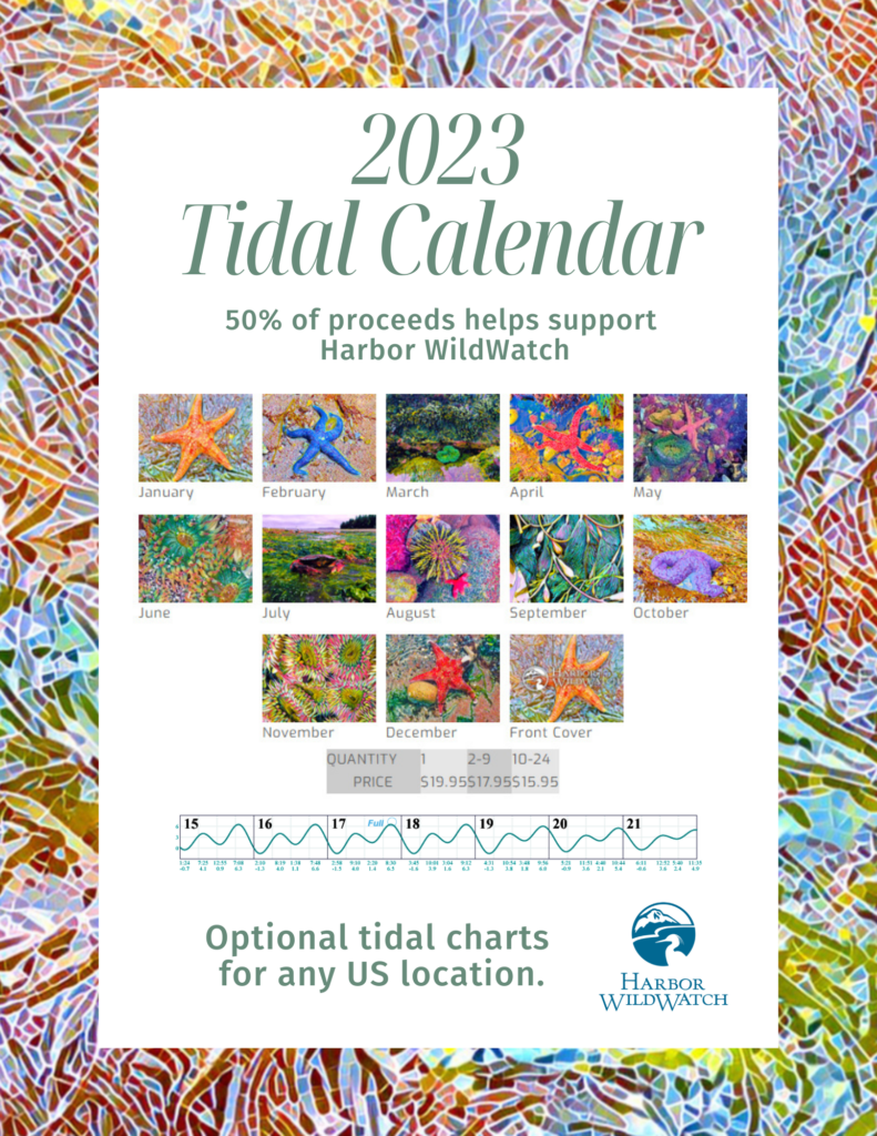 2023 Tidal Calendar – Harbor WildWatch