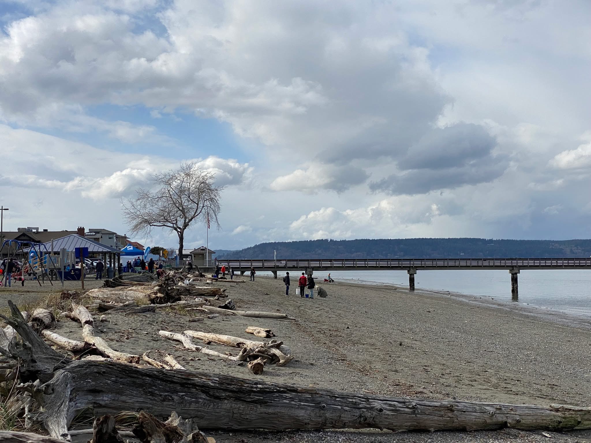 Dash Point Park & Pier Dash Point Park & Pier