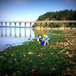 Joemma Beach State Park