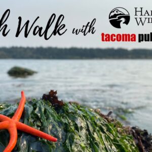 Low Tide Tour with Tacoma Public Library
