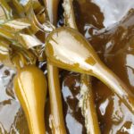 Dash Point State Park