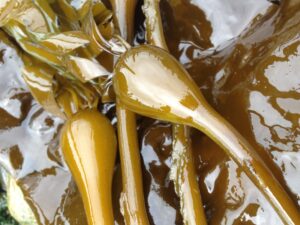 Dash Point State Park