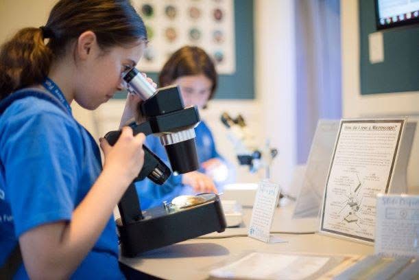 Students Using Microscopes at the Marine Life Center Students Using Microscopes at the Marine Life Center