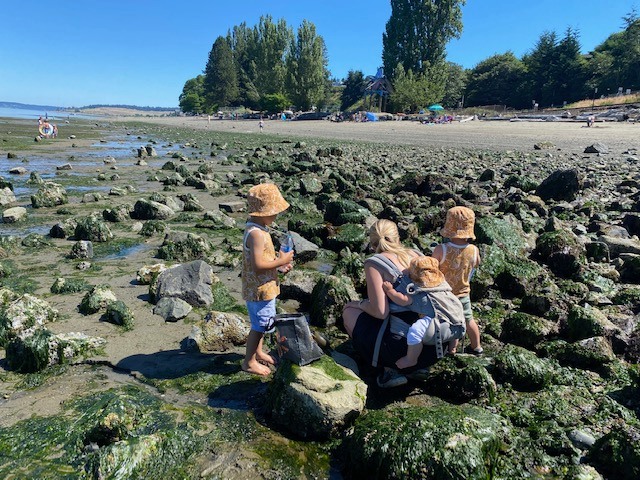 Sunnyside Beach Park Sunnyside Beach Park