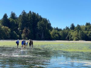 Tolmie State Park