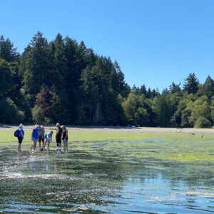 Tolmie State Park