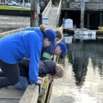 Dock Walk Dock Walk
