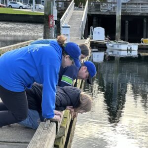 Dock Walk