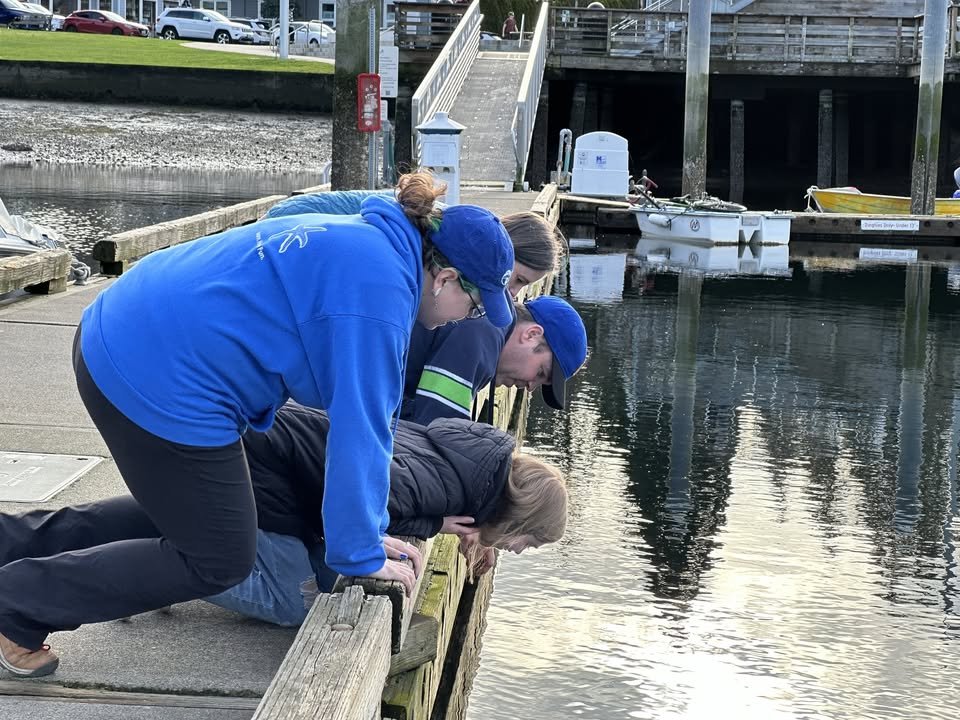 Dock Walk Dock Walk
