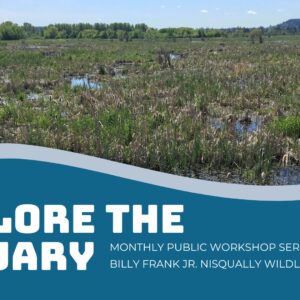 Explore the Estuary Workshop