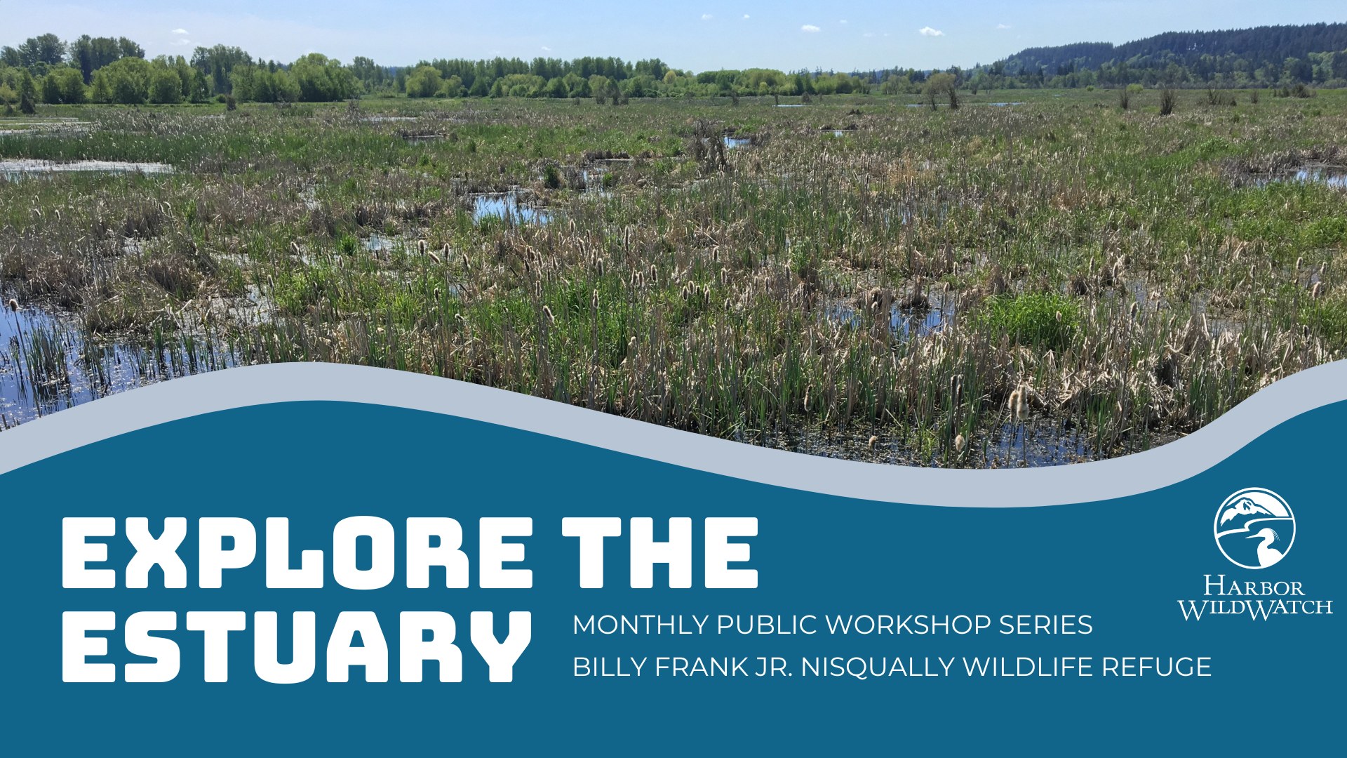 Explore the Estuary Workshop Explore the Estuary Workshop
