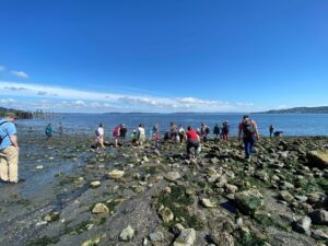 Jack Hyde Park, Low Tide Tour