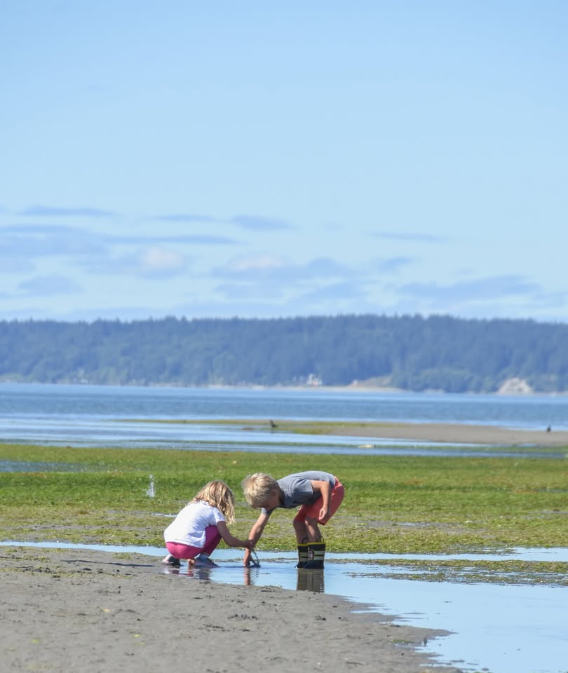 Purdy Sand Spit Purdy Sand Spit
