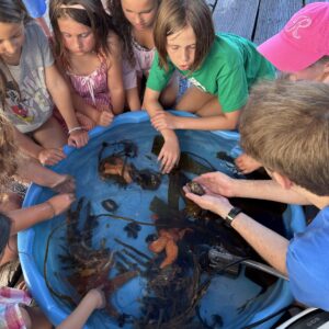 Summer Sounds Concert Touch Tank