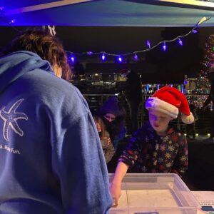 Touch Tanks at the Tree Lighting Touch Tanks at the Tree Lighting