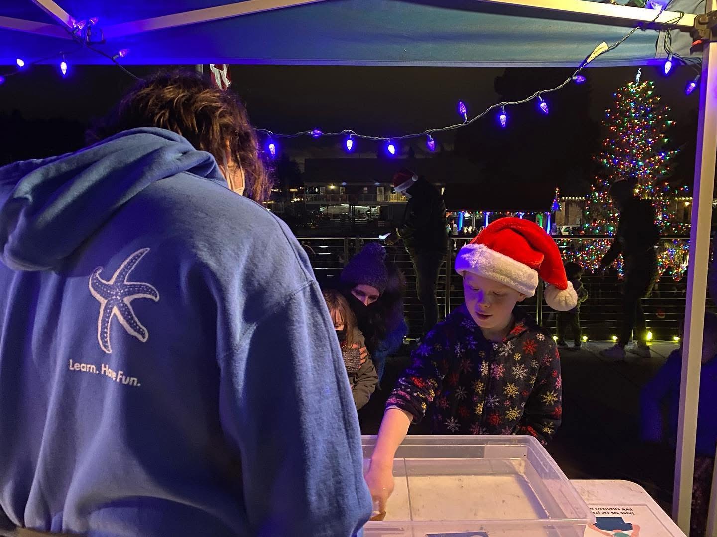 Touch Tanks at the Tree Lighting Touch Tanks at the Tree Lighting