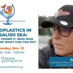 cocktails and fishtales microplastics cocktails and fishtales microplastics