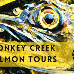 Donkey Creek Salmon Tours Donkey Creek Salmon Tours