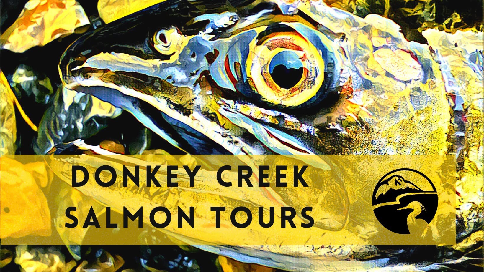 Read more about the article Donkey Creek Salmon Tours