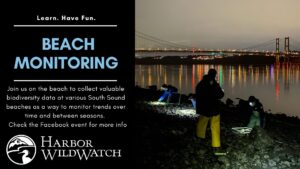 Nighttime Beach Monitoring Image