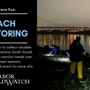 Nighttime Beach Monitoring Image