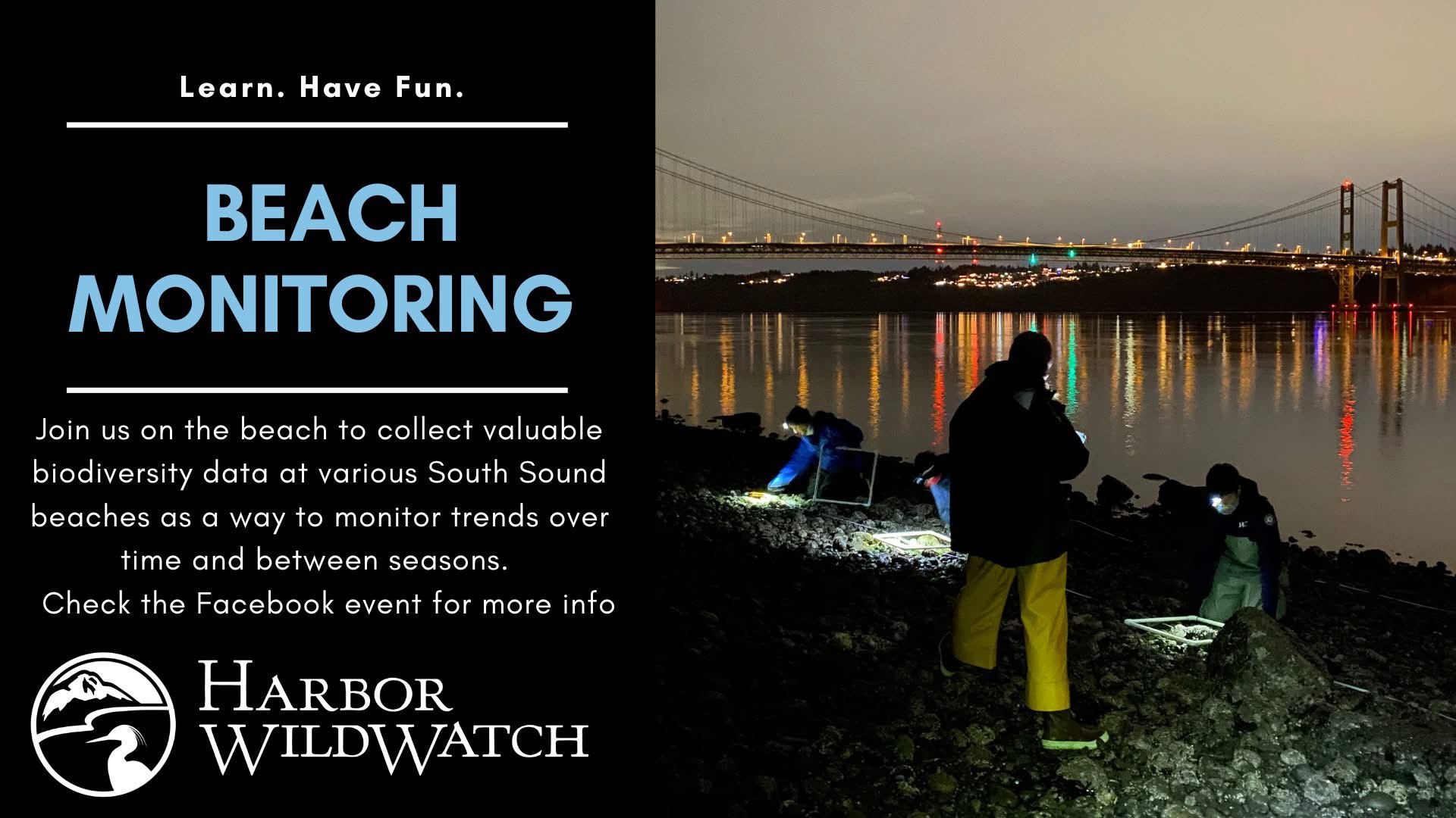Nighttime Beach Monitoring Image