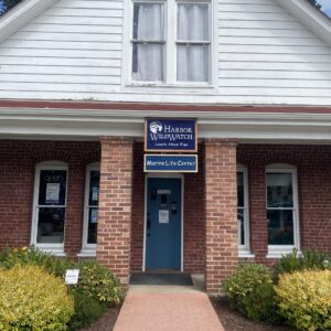 Marine Life Center Downtown Gig Harbor