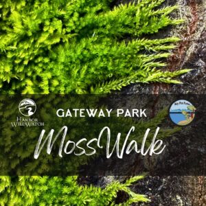 Gateway Park Moss Walk