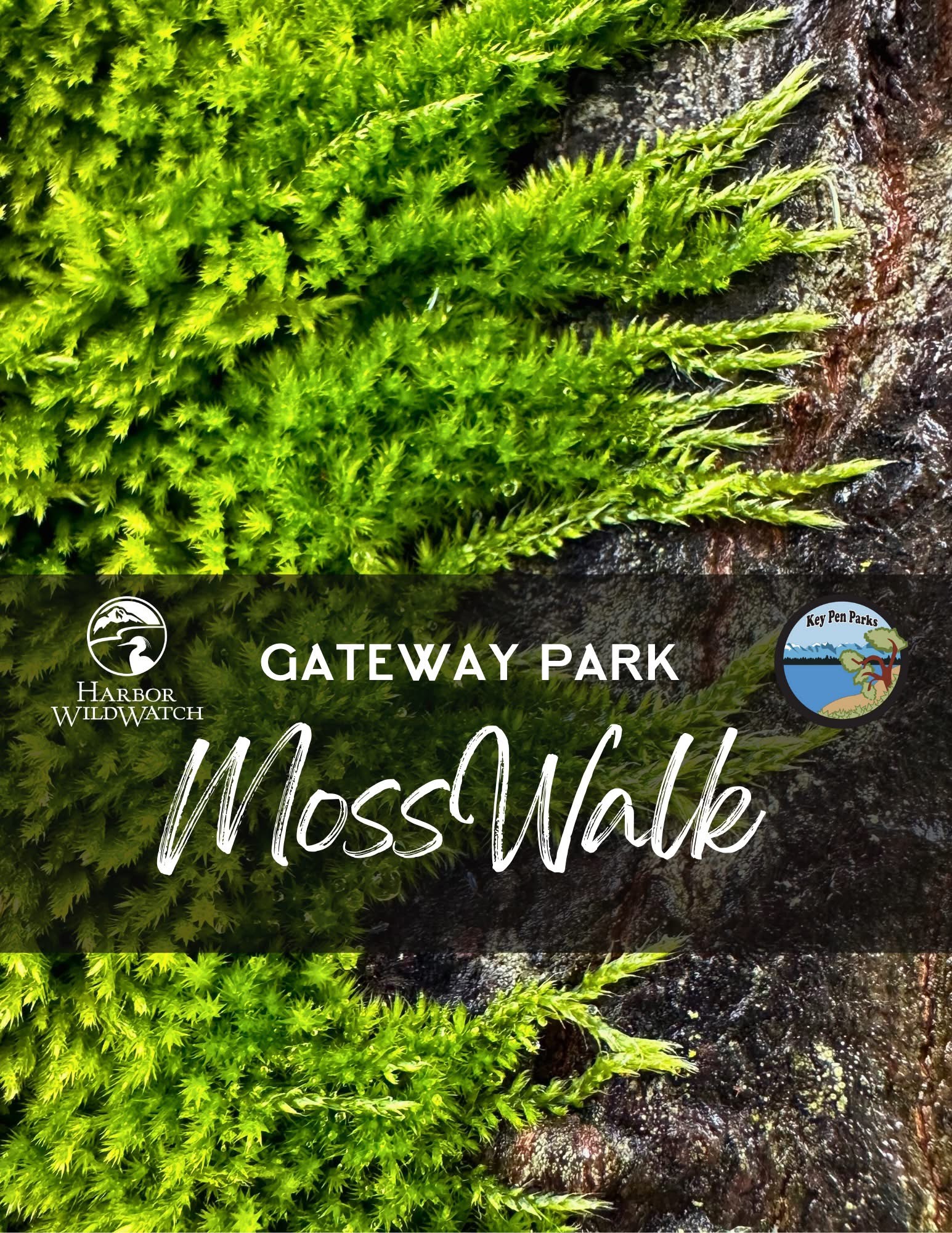 Gateway Park Moss Walk