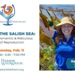 C+F Love in the Salish Sea C+F Love in the Salish Sea