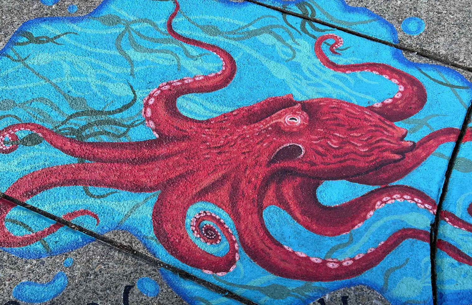 Read more about the article Gig Harbor Storm Drain Sidewalk Art Project