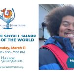 Malik Cocktails and Fishtales