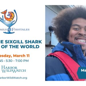 Malik Cocktails and Fishtales