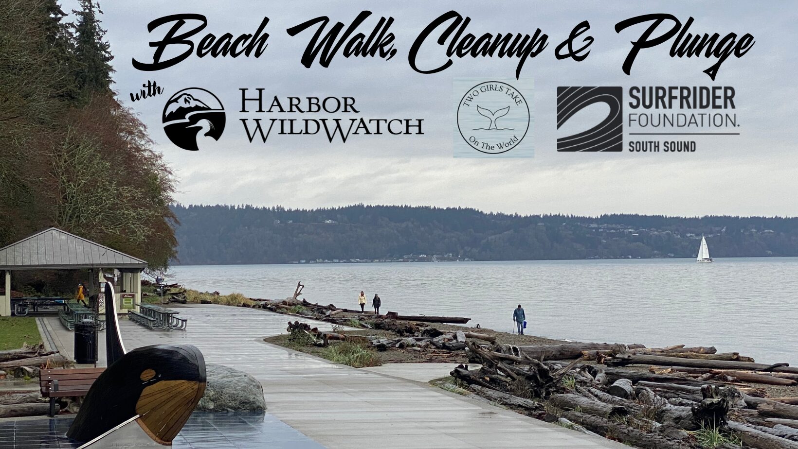 Read more about the article Low Tide Tour, Beach Cleanup & Plunge – Owen Beach