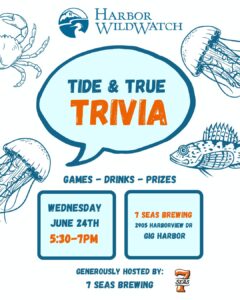 Tide and True Trivia